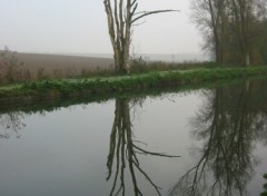 Fonds d'cran Nature Reflet d'arbre qui dort