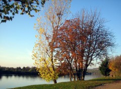 Fonds d'cran Nature Amour tendre et ttes de bois.