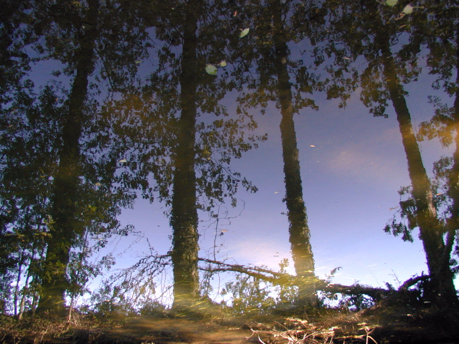 Wallpapers Nature Water - Reflection Reflets