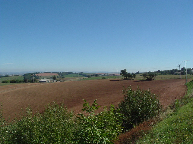 Fonds d'cran Nature Champs - Prairies Vacances 2004