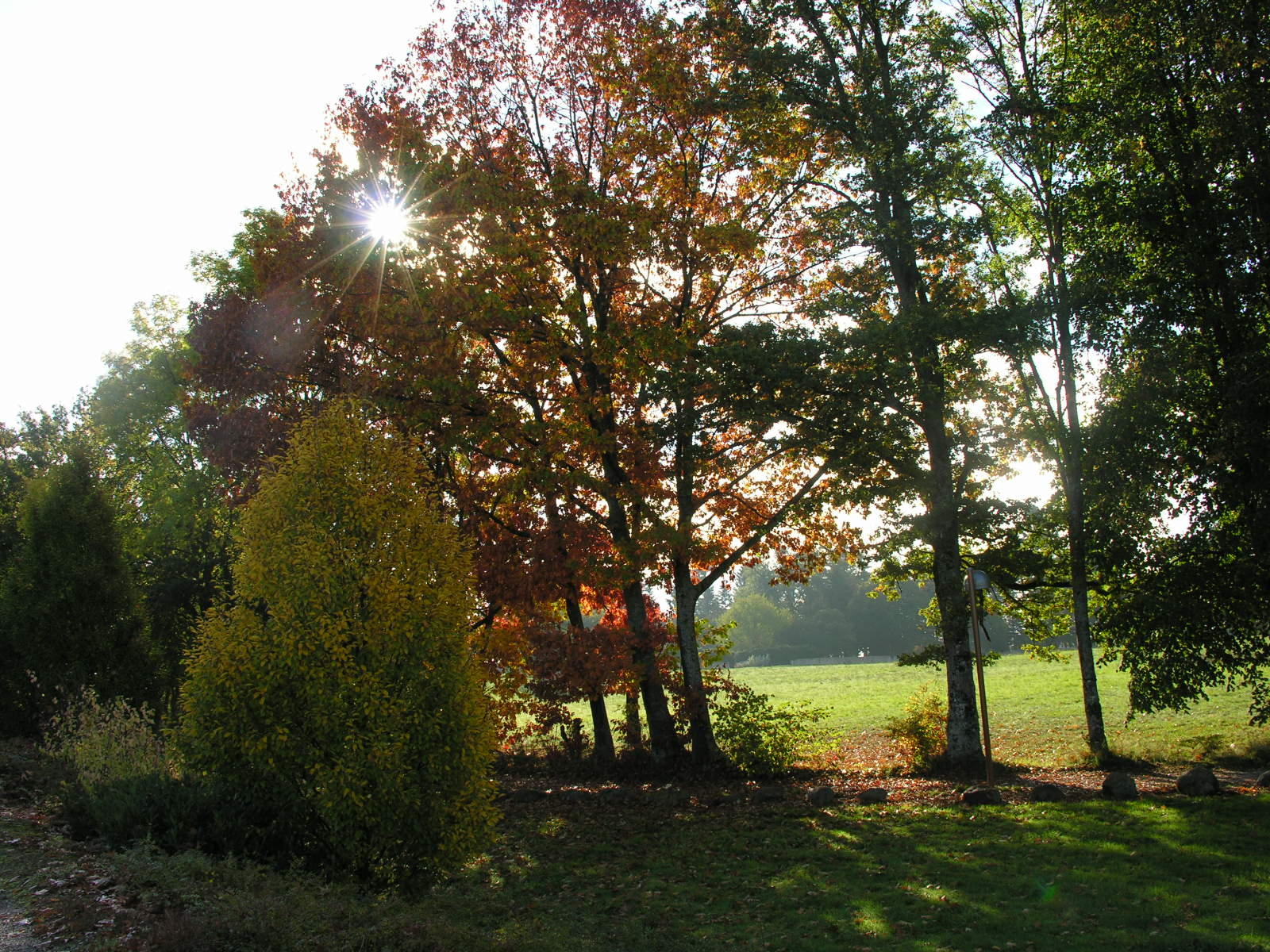 Fonds d'cran Nature Saisons - Automne 