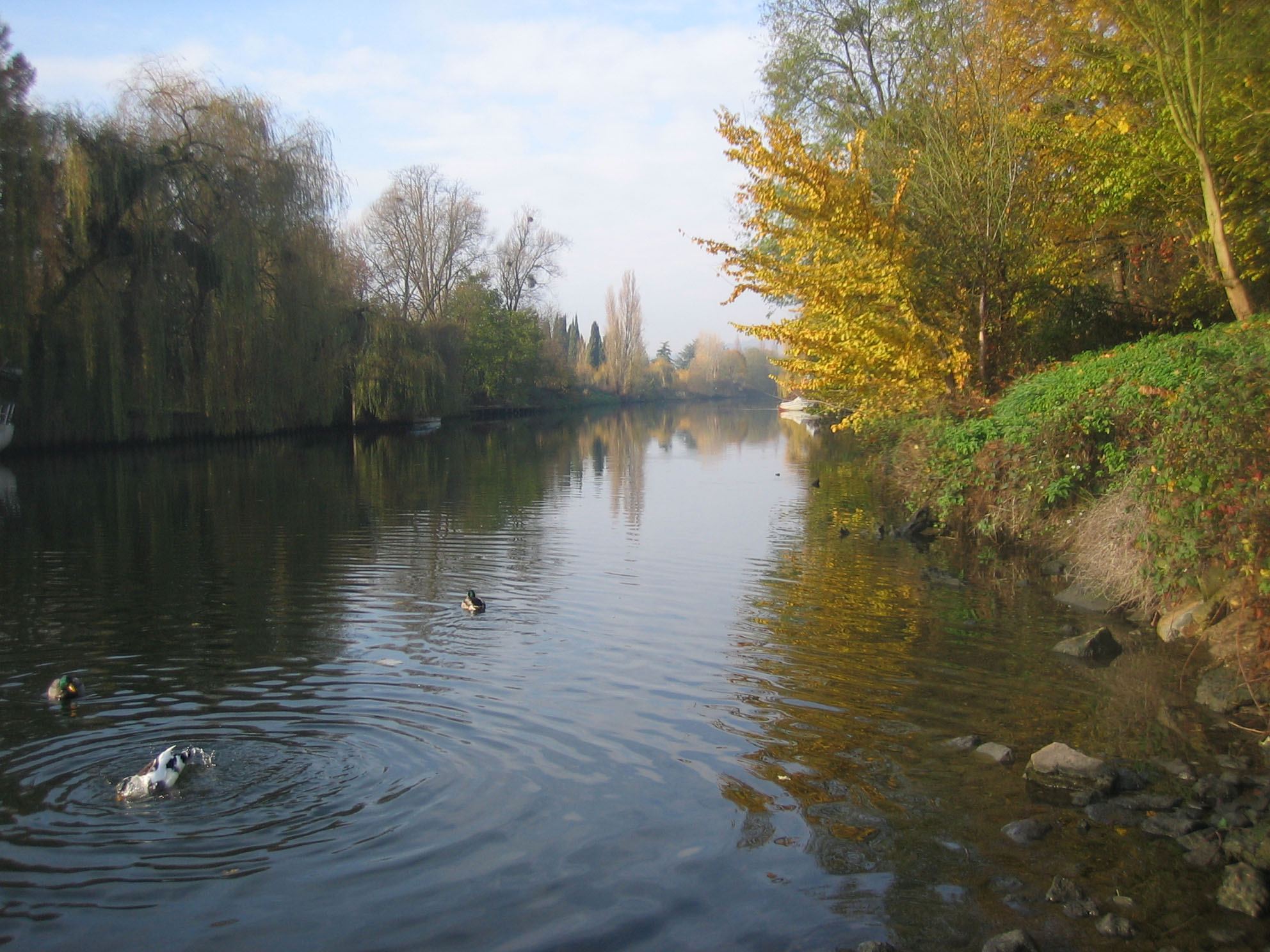 Fonds d'cran Nature Fleuves - Rivires - Torrents Reflets sur seine!!