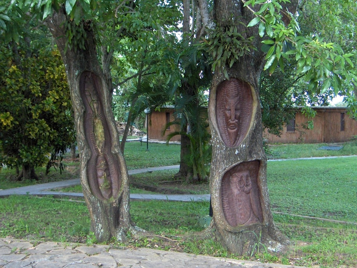 Fonds d'cran Nature Arbres - Forts Cuba, les arbres sculpts ...