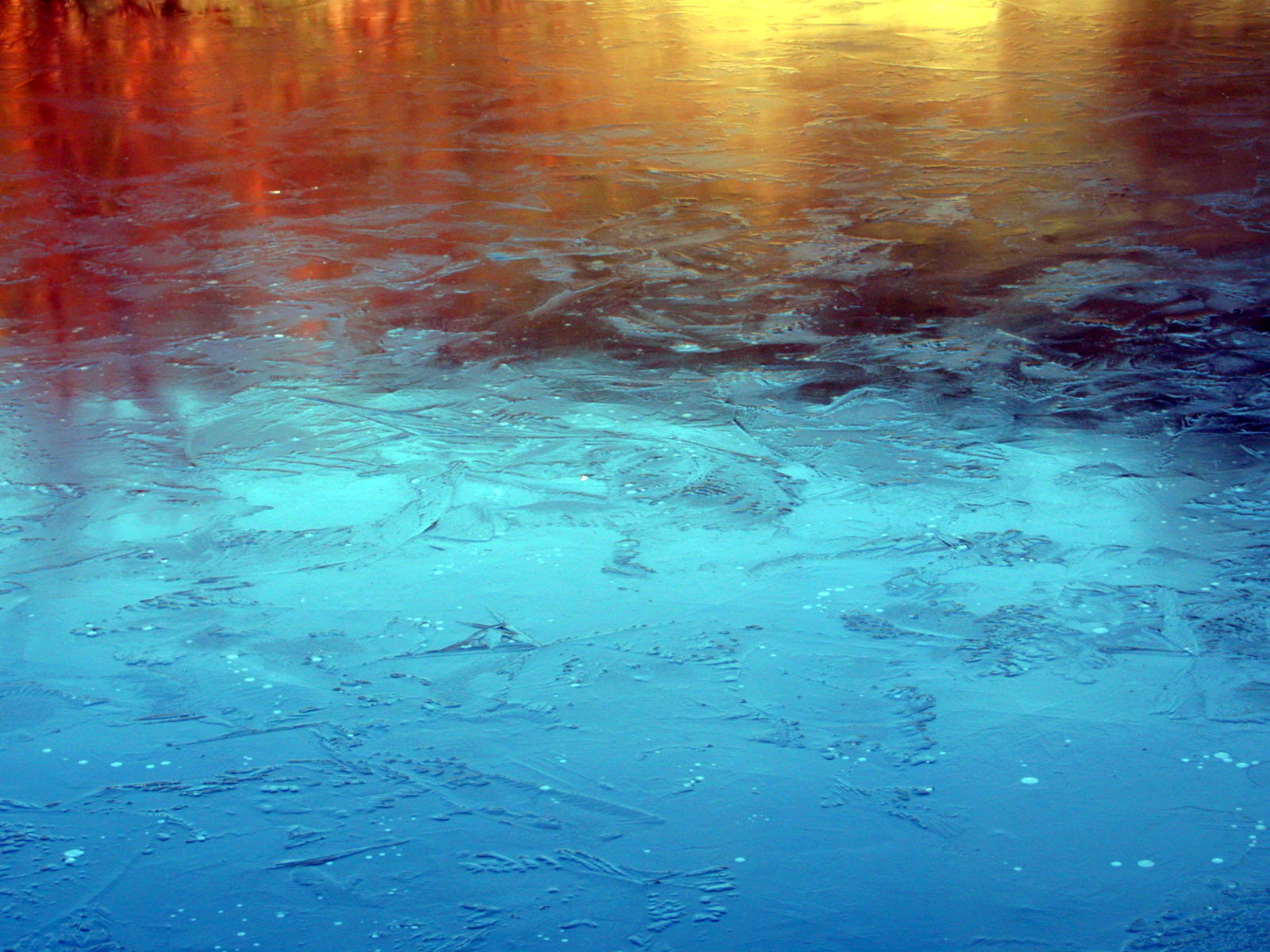 Fonds d'cran Nature Eau - Reflets  Reflets de la mare gele