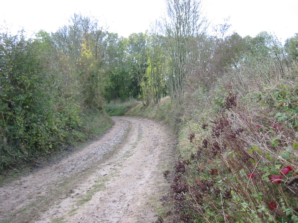 Wallpapers Trips : Europ France > Picardie Chemin boueux le long de l'Escaut