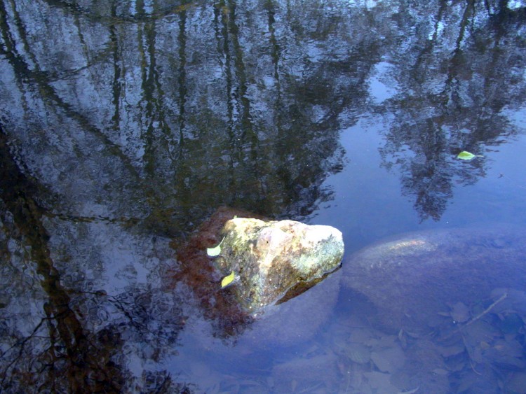 Wallpapers Nature Water - Reflection Reflets