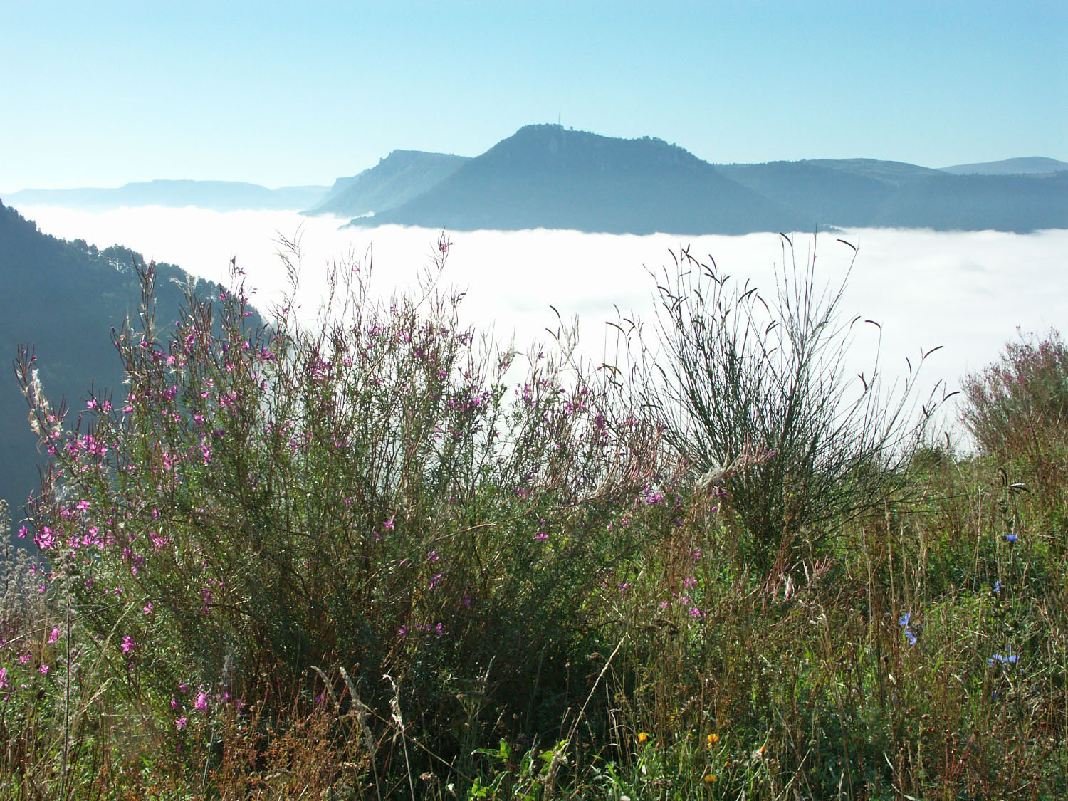 Fonds d'cran Voyages : Europe France > Languedoc-Roussillon Gorges du Tarn