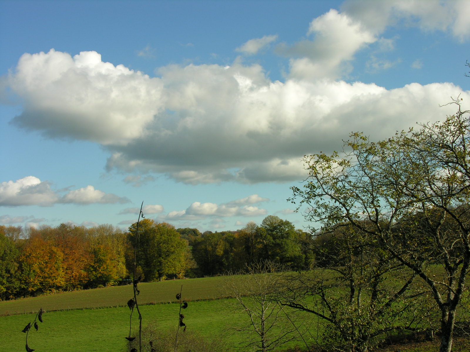 Fonds d'cran Nature Paysages 