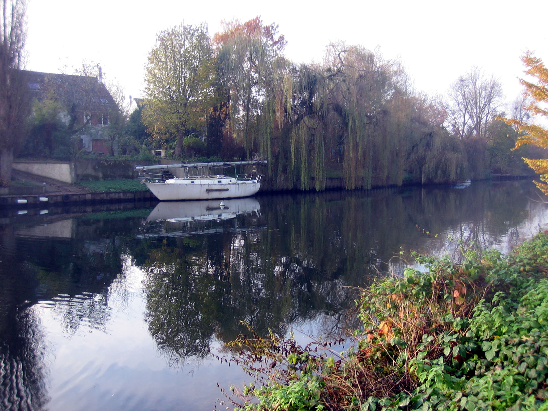 Wallpapers Nature Rivers - Torrents Reflets sur seine!!