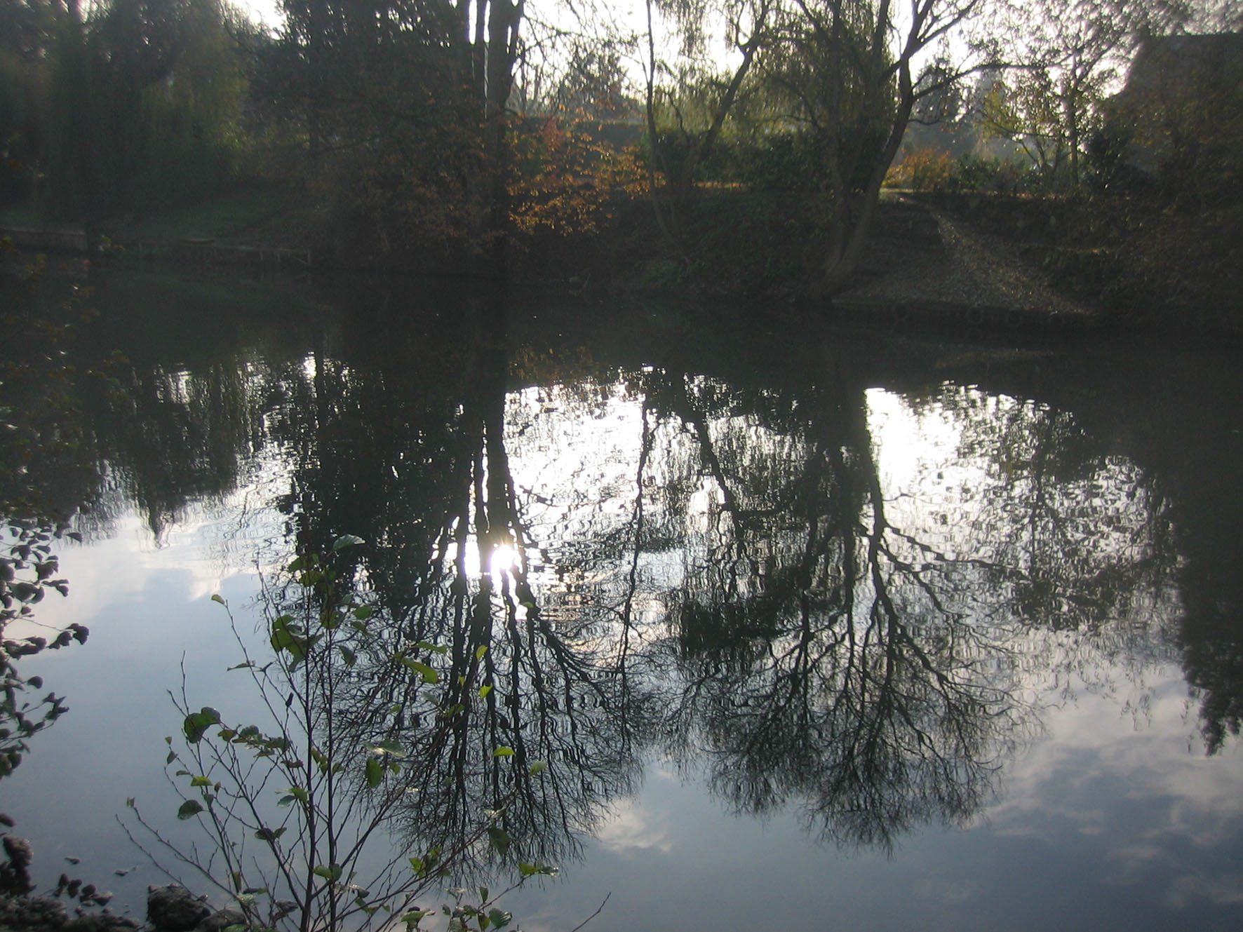 Wallpapers Nature Water - Reflection Reflets sur seine!!