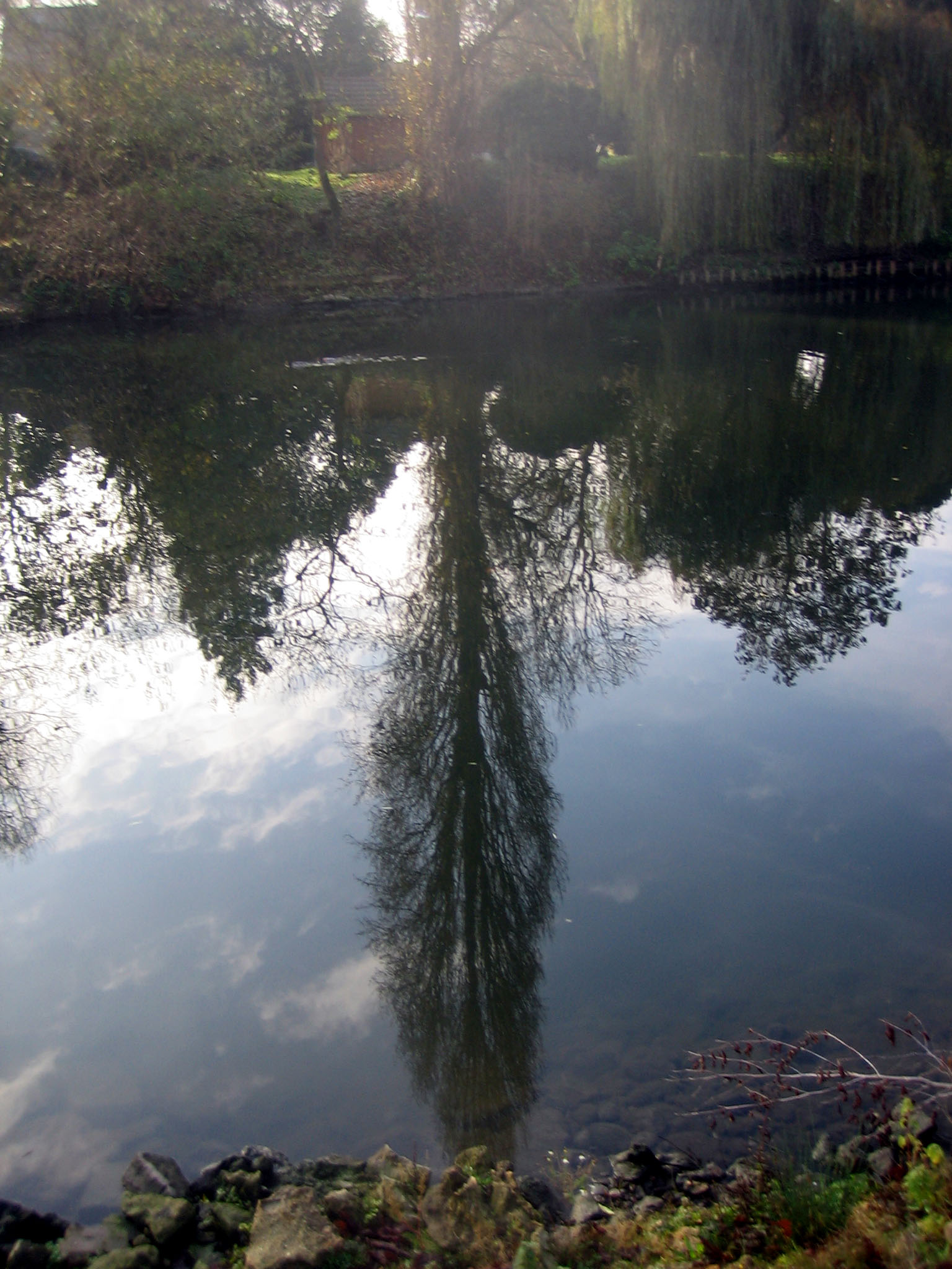 Wallpapers Nature Water - Reflection Reflets sur seine!!