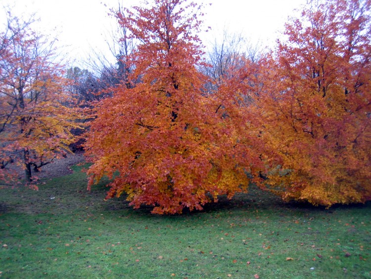 Fonds d'cran Nature Saisons - Automne couleurs d'automne!!