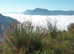 Wallpapers Trips : Europ Gorges du Tarn