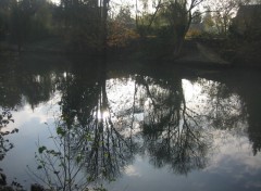 Wallpapers Nature Reflets sur seine!!