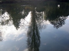 Wallpapers Nature Reflets sur seine!!