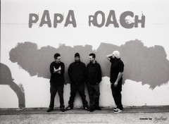 Fonds d'cran Musique Papa Roach