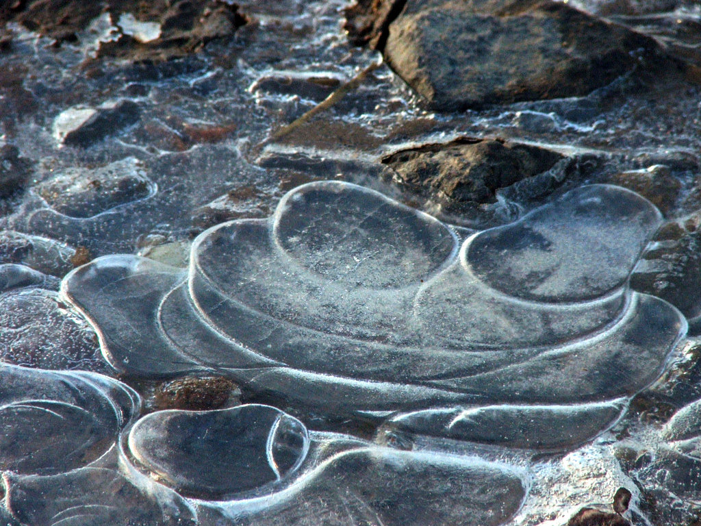 Fonds d'cran Nature Saisons - Hiver Saison du gel