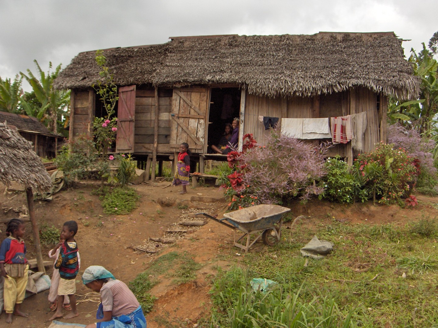 Fonds d'cran Voyages : Afrique Madagascar Sur la route d'Andasib aux Pangalanes