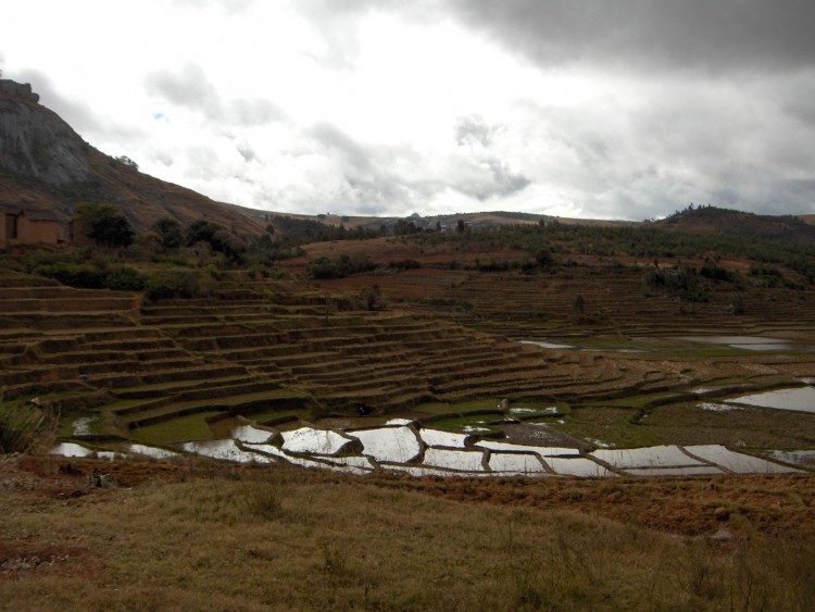 Wallpapers Trips : Africa Madagascar Les rizires entre Ambalavao et Fianarantsoa