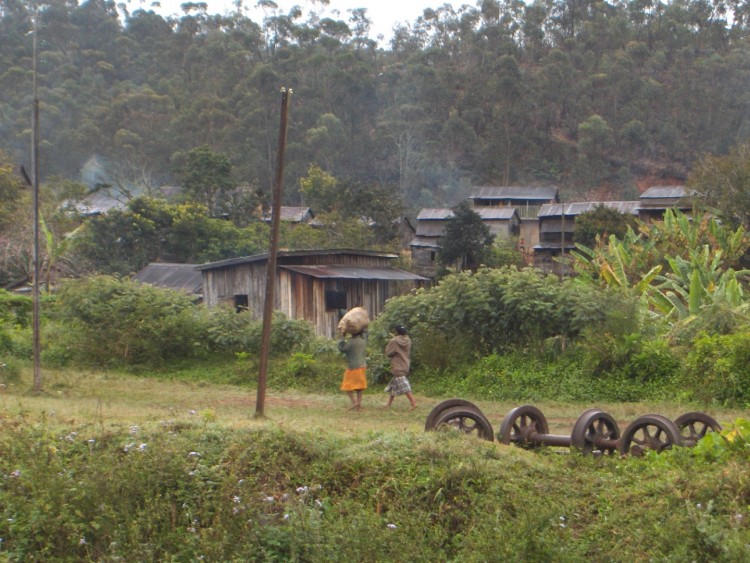 Fonds d'cran Voyages : Afrique Madagascar Andasib, la gare en fort