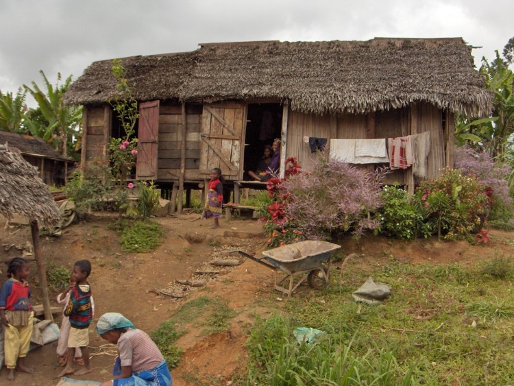 Fonds d'cran Voyages : Afrique Madagascar Sur la route d'Andasib aux Pangalanes