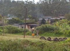 Fonds d'cran Voyages : Afrique Andasib, la gare en fort