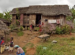 Fonds d'cran Voyages : Afrique Sur la route d'Andasib aux Pangalanes