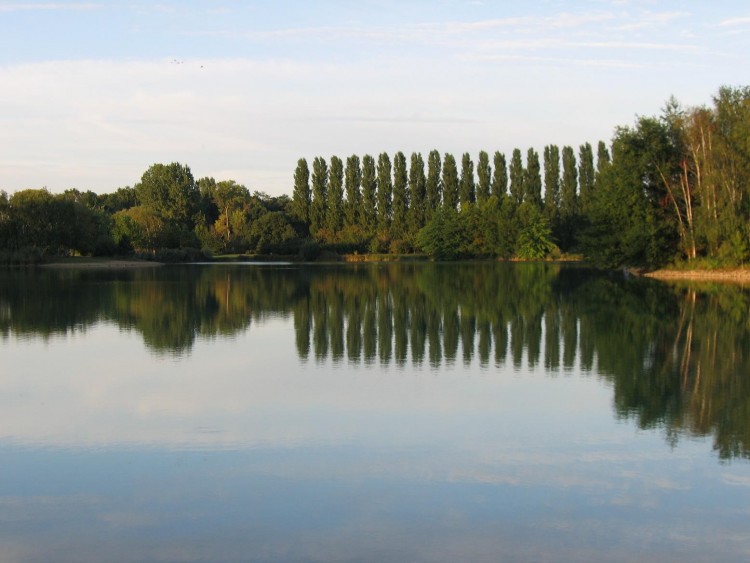 Wallpapers Nature Lakes - Ponds lac artificiel de montargi