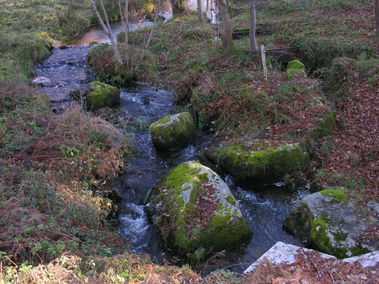 Fonds d'cran Nature Fleuves - Rivires - Torrents Faufilement