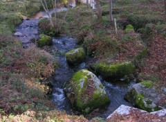 Fonds d'cran Nature Faufilement