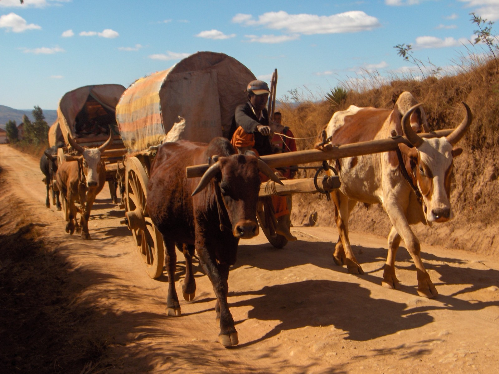 Wallpapers Trips : Africa Madagascar Antsirab, les transports locaux