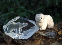 Fonds d'cran Objets Petit Ours Blanc...