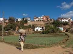 Fonds d'cran Voyages : Afrique Antsirab, en ville