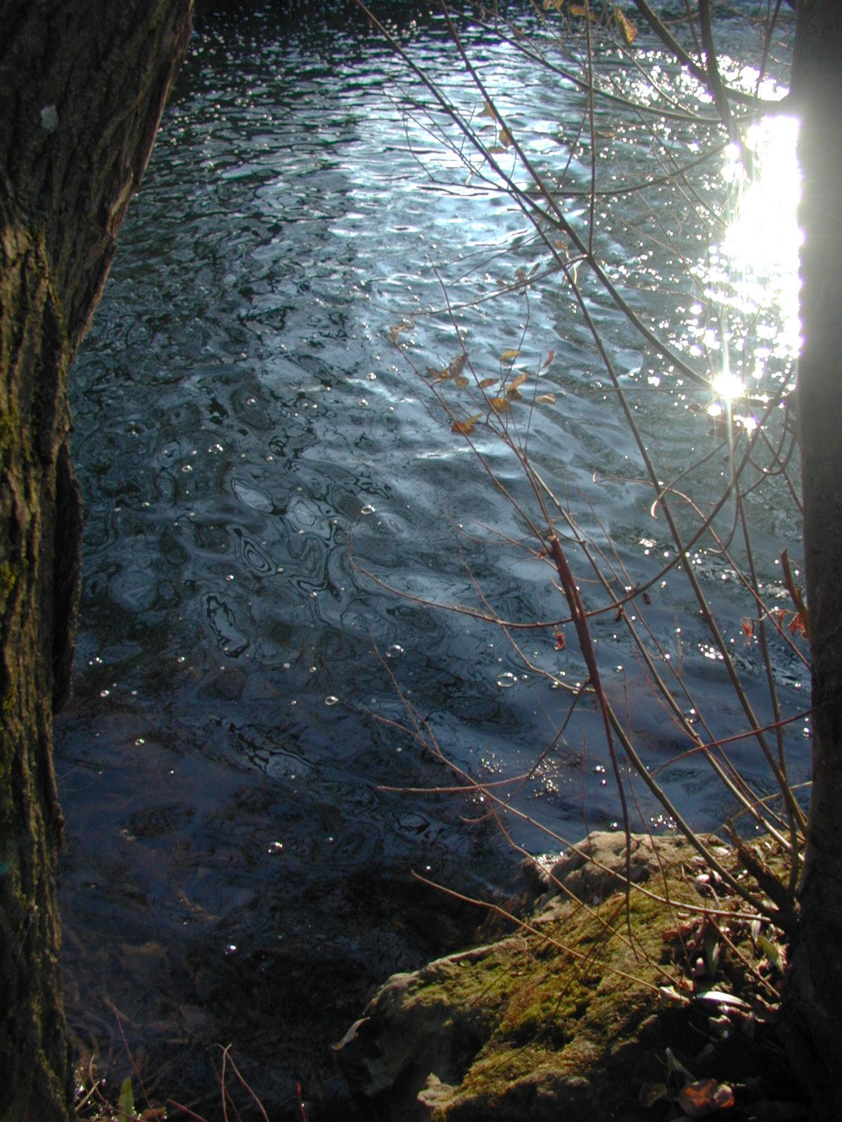 Wallpapers Nature Water - Reflection Reflets