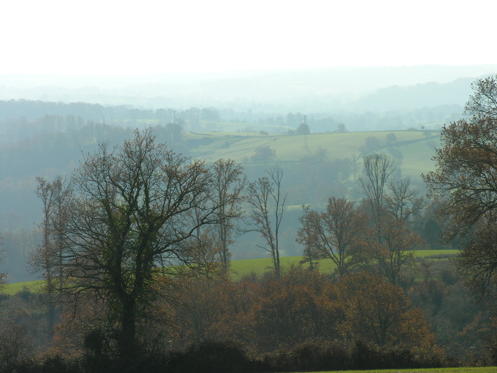 Fonds d'cran Nature Paysages Brume matinale