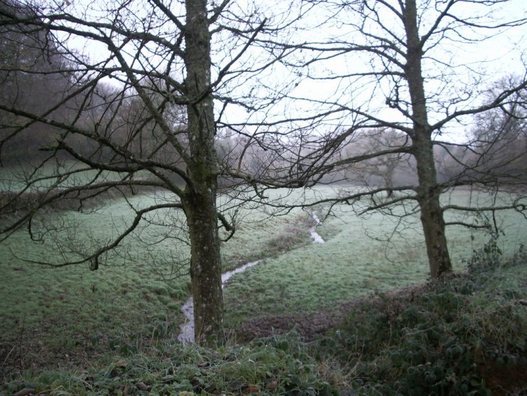 Wallpapers Nature Trees - Forests campagne dans le nord cotentin