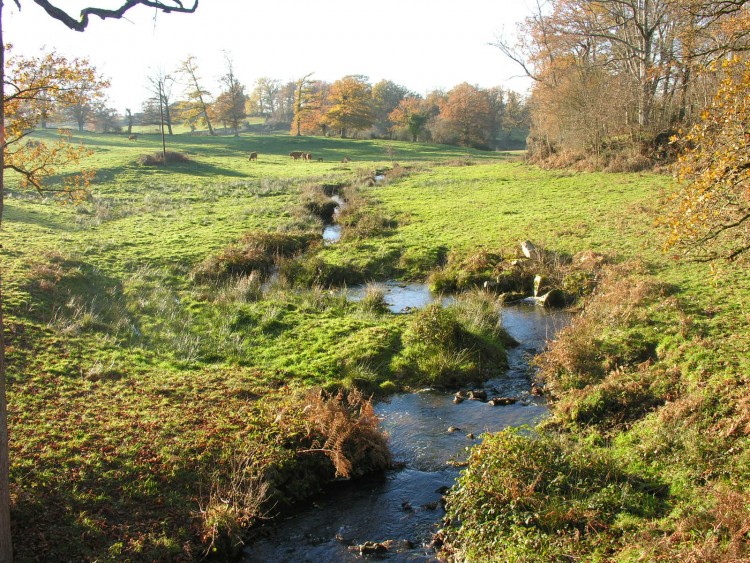 Fonds d'cran Nature Fleuves - Rivires - Torrents oxygnation