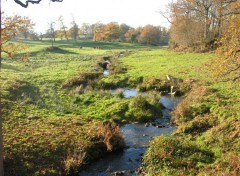 Fonds d'cran Nature oxygnation