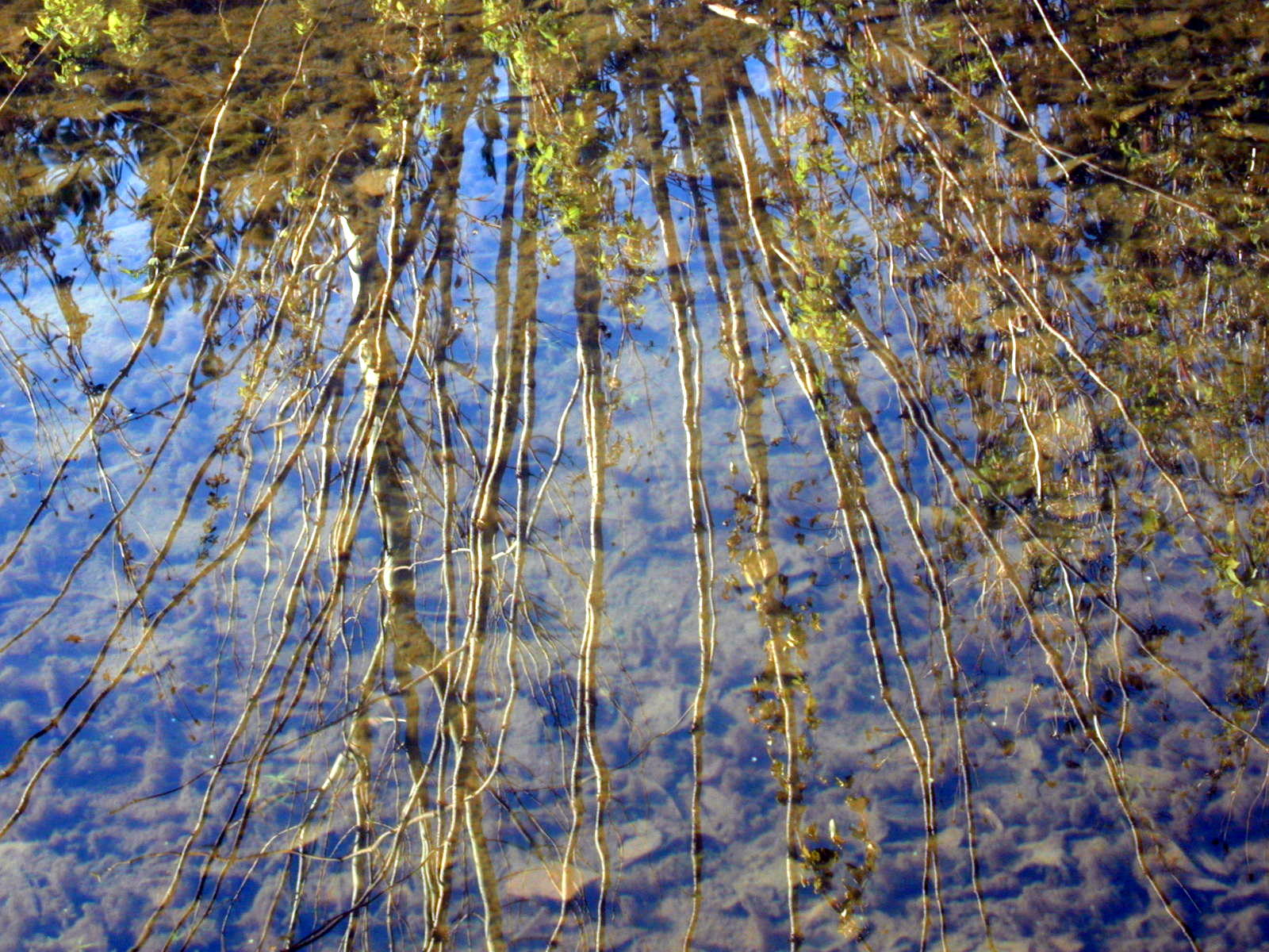 Wallpapers Nature Water - Reflection Reflets