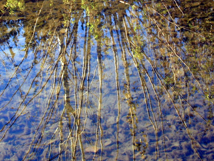 Wallpapers Nature Water - Reflection Reflets