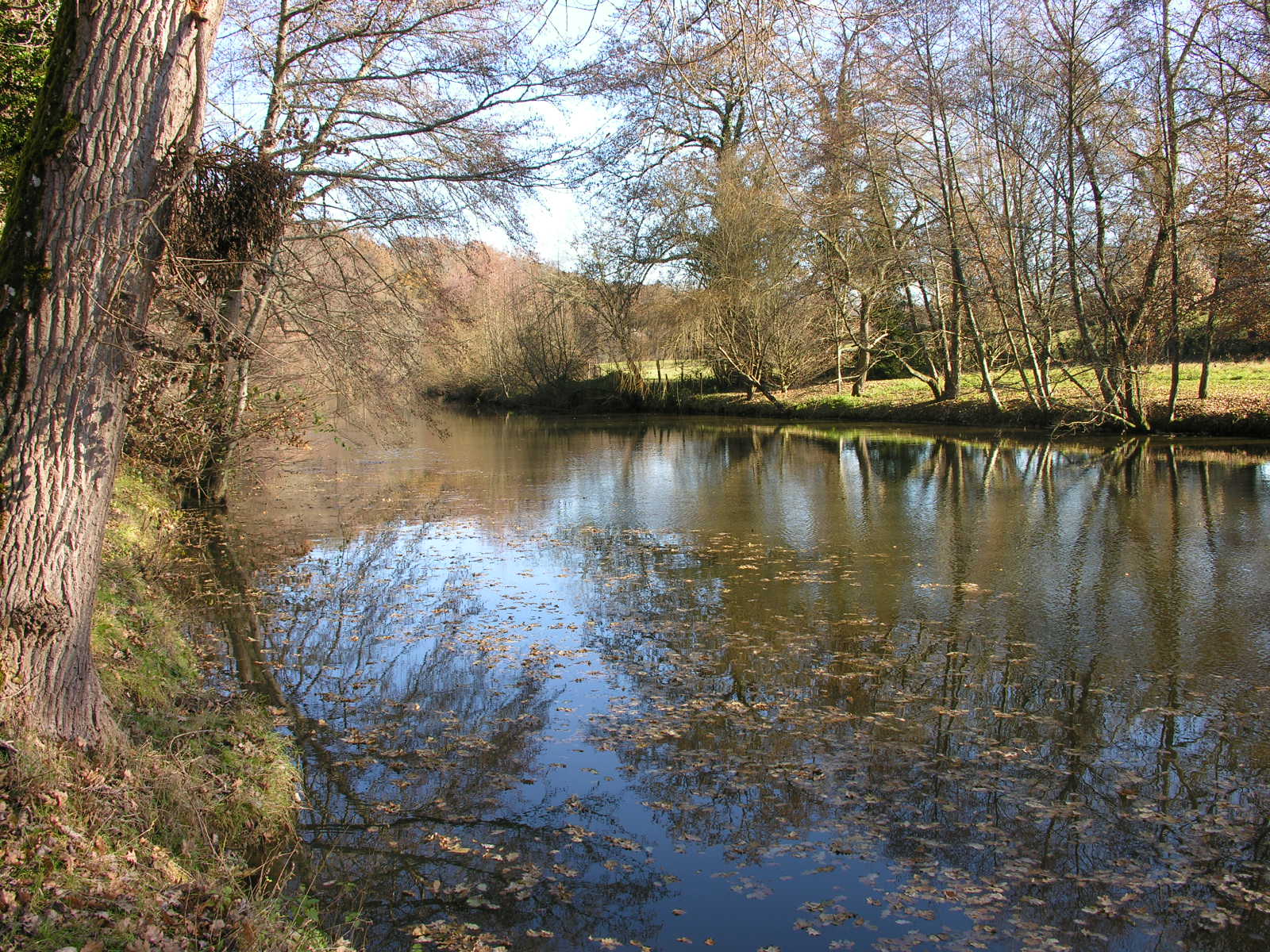 Fonds d'cran Nature Fleuves - Rivires - Torrents 