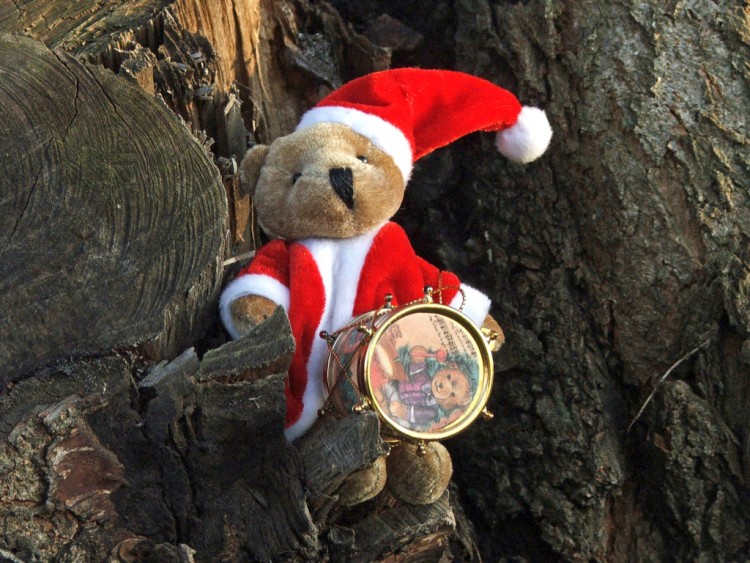 Fonds d'cran Objets Peluches Petit Ours de Nol au son du tambour, boum boum boum !