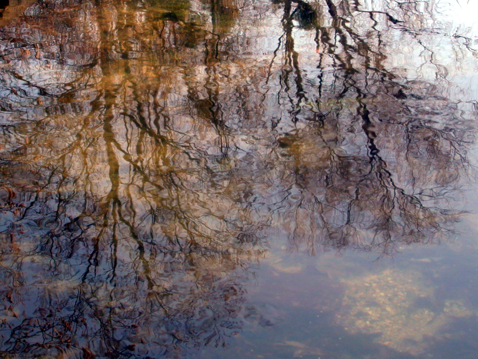 Fonds d'cran Nature Eau - Reflets Reflets