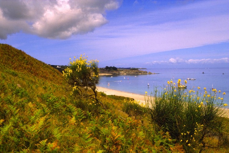 Wallpapers Trips : Europ France > Bretagne Belle-Ile en mer