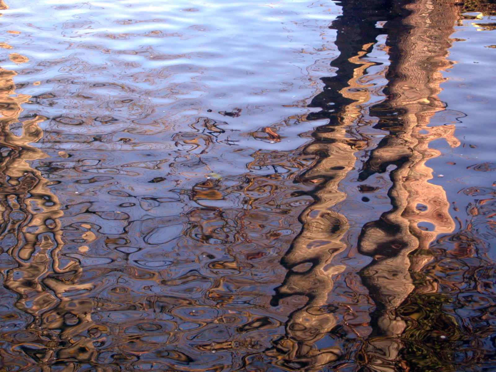 Wallpapers Nature Water - Reflection Reflets