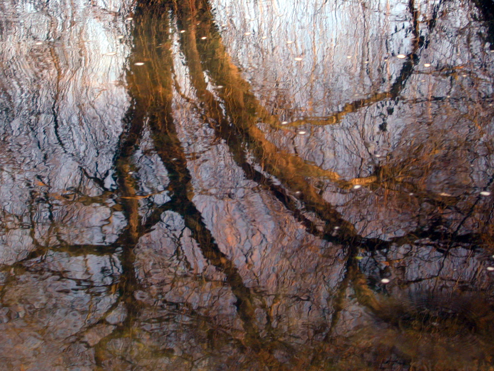 Wallpapers Nature Water - Reflection Reflets