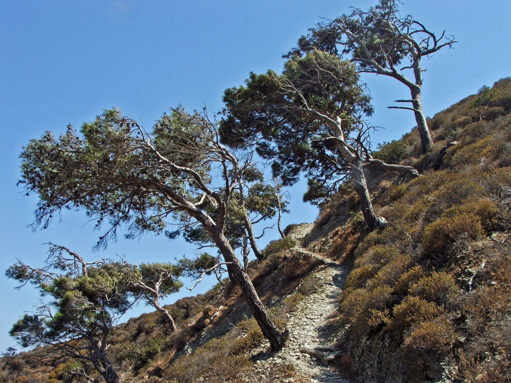 Wallpapers Trips : Europ Greece Ile de Karpathos (Grce)