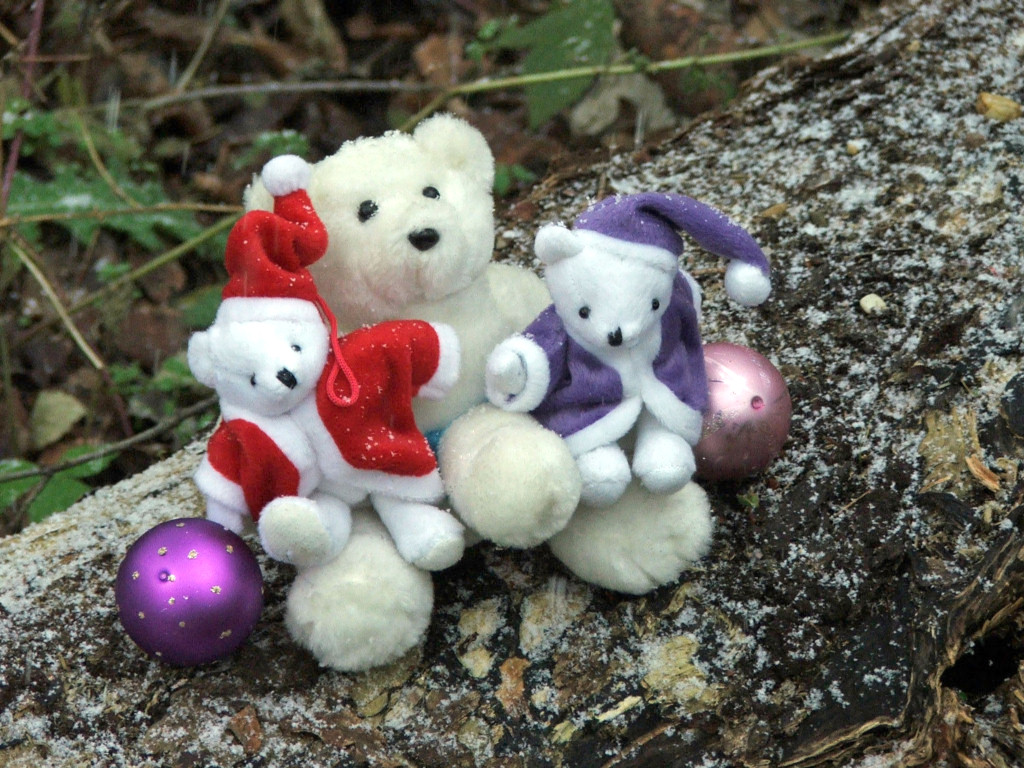 Wallpapers Objects Cuddly Les Petits Ours blancs sont tous ravis des 1ers flocons de neige ! Enfin ! (C'est de l'humour...)