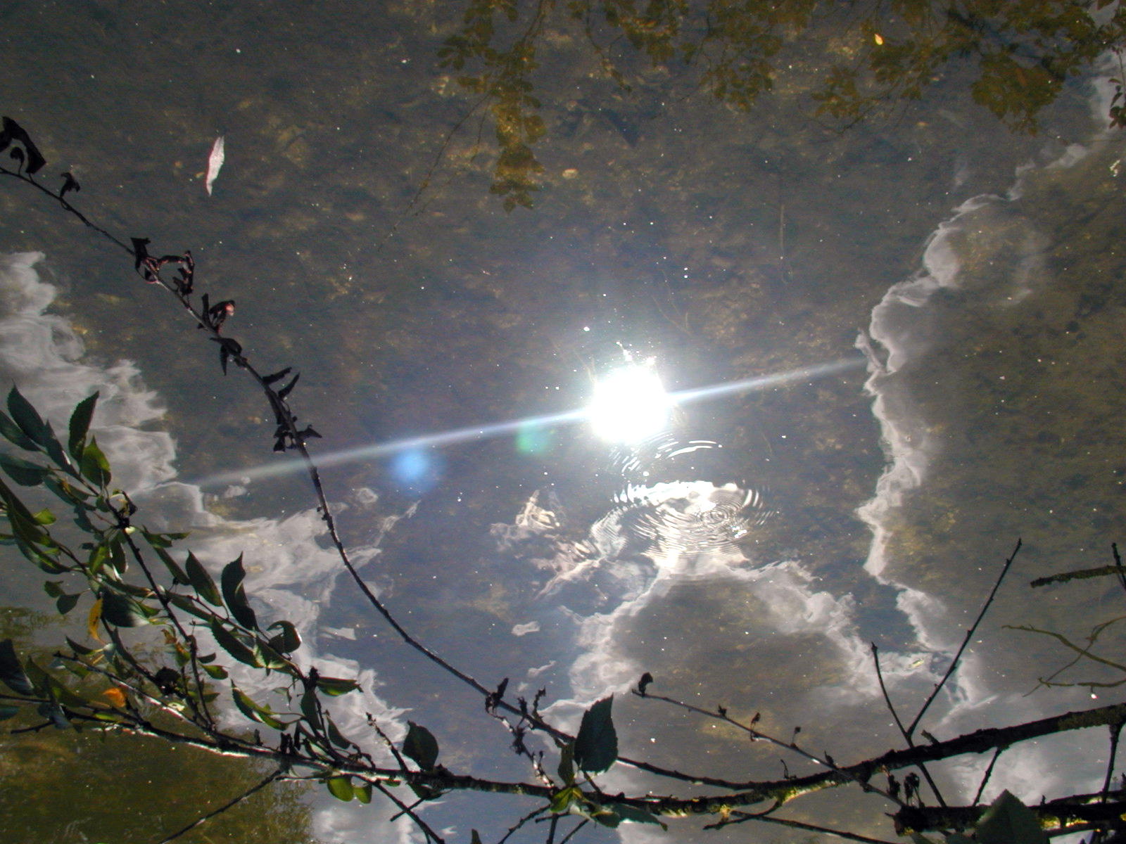 Wallpapers Nature Water - Reflection Reflets