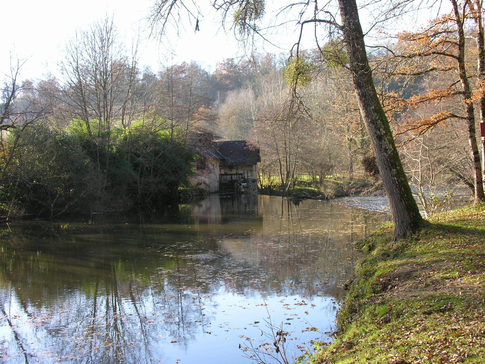 Fonds d'cran Nature Fleuves - Rivires - Torrents Flnerie sur la Briance